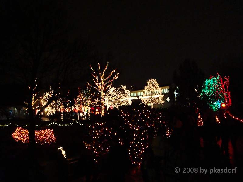 104 Toledo Zoo Light Show [2008 Dec 27].JPG - Scenes from the Toledo Zoo Light Show.